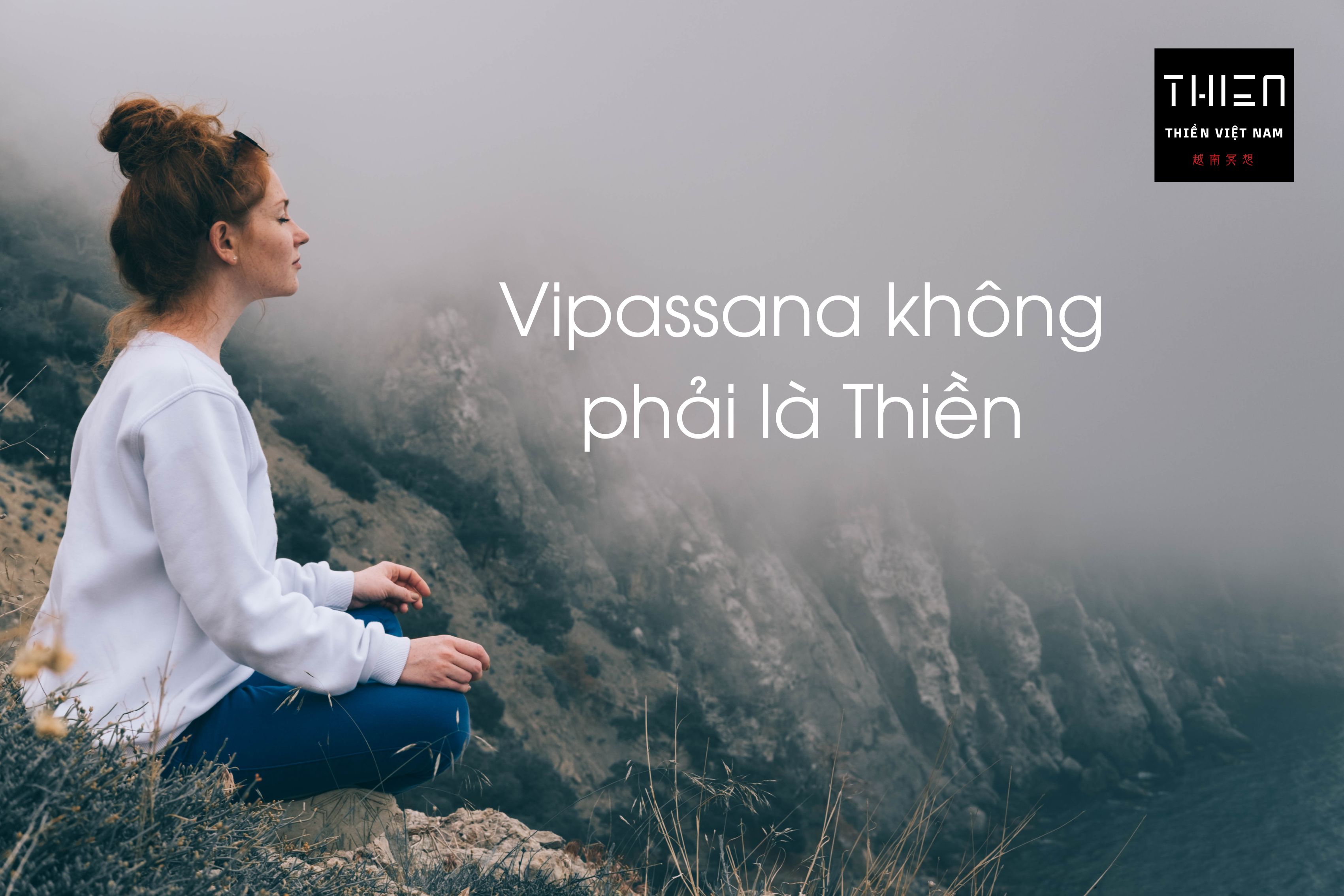 Thảo luận: Vipassana không phải là Thiền