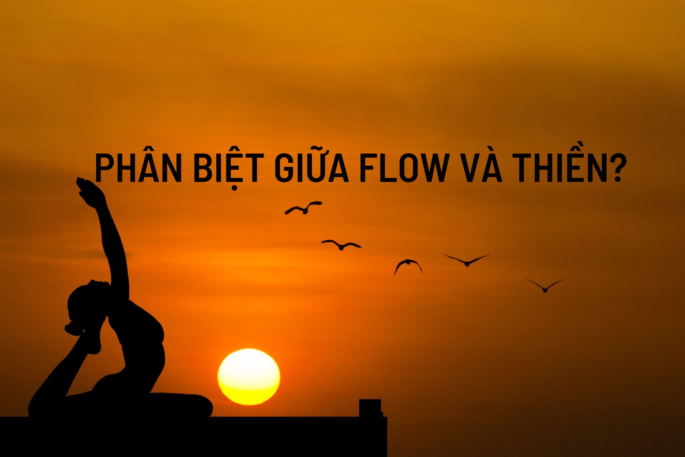 Phân biệt sự khác nhau giữa Thiền và Flow