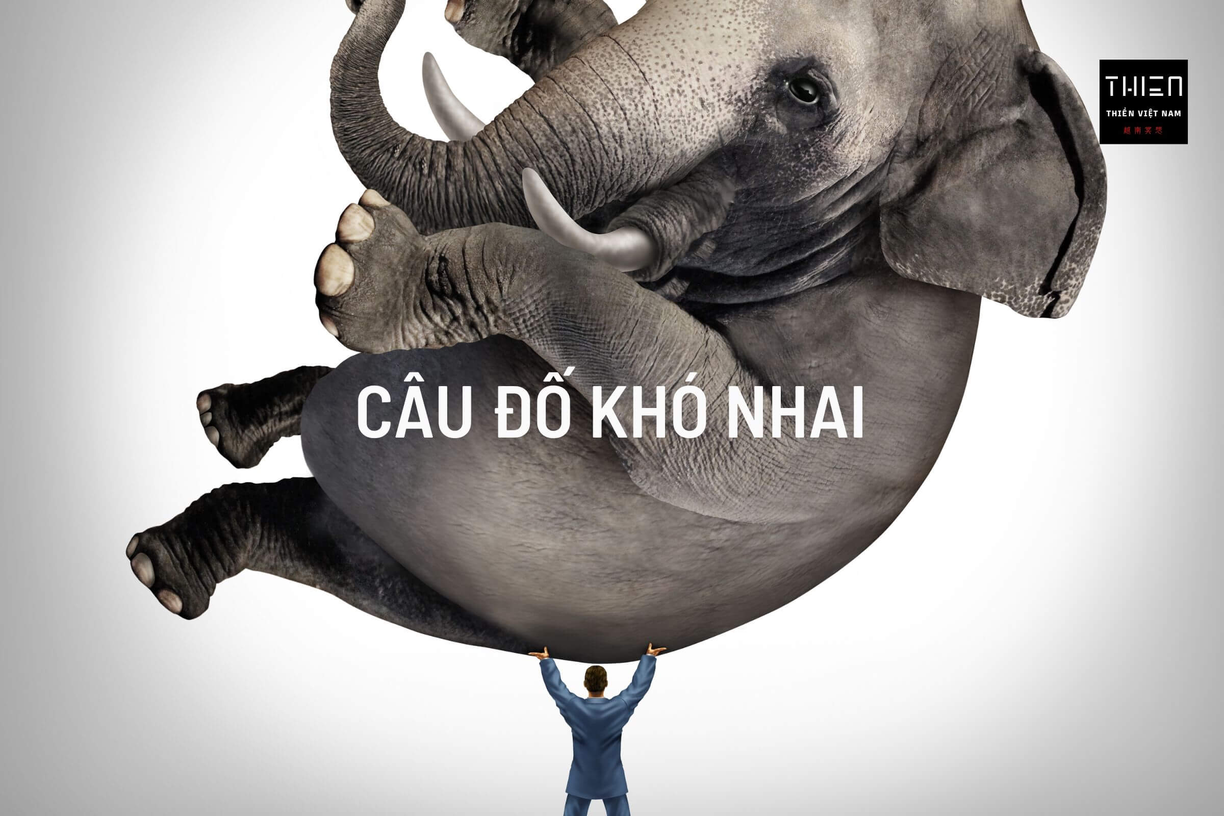 Câu đố khó nhai