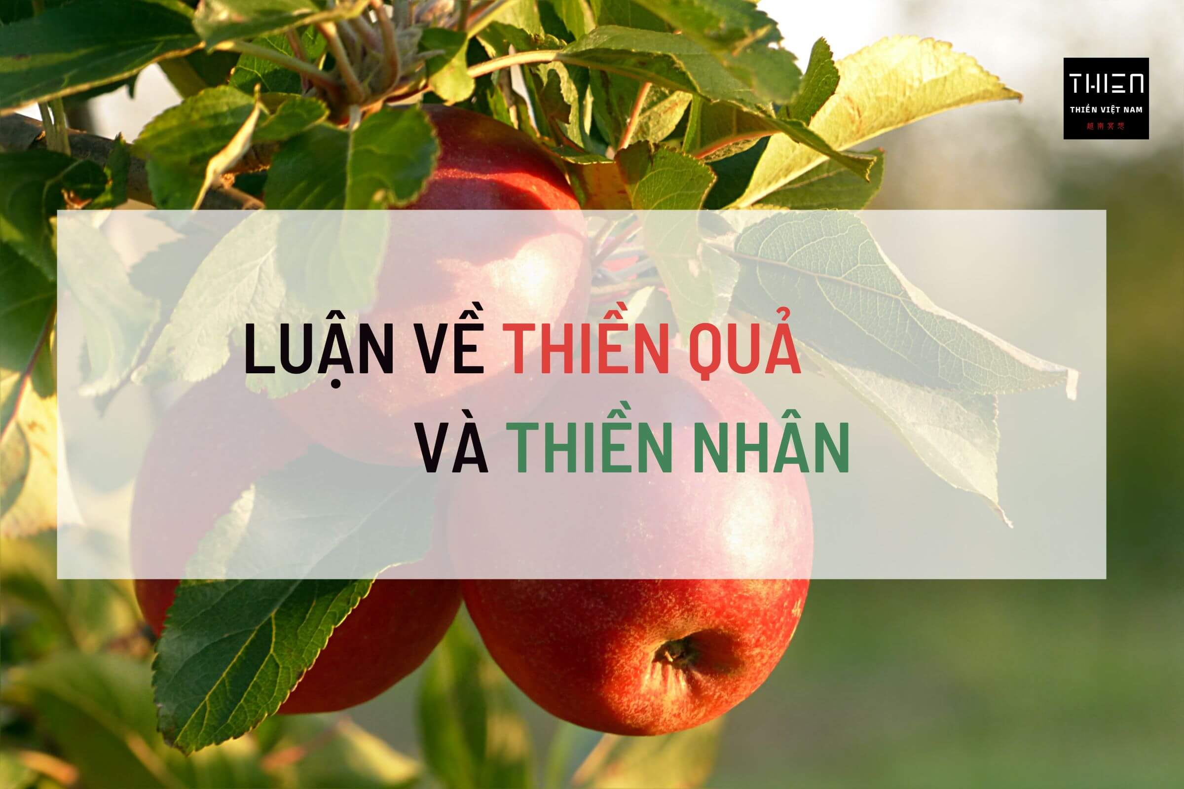 Luận về thiền quả và thiền nhân