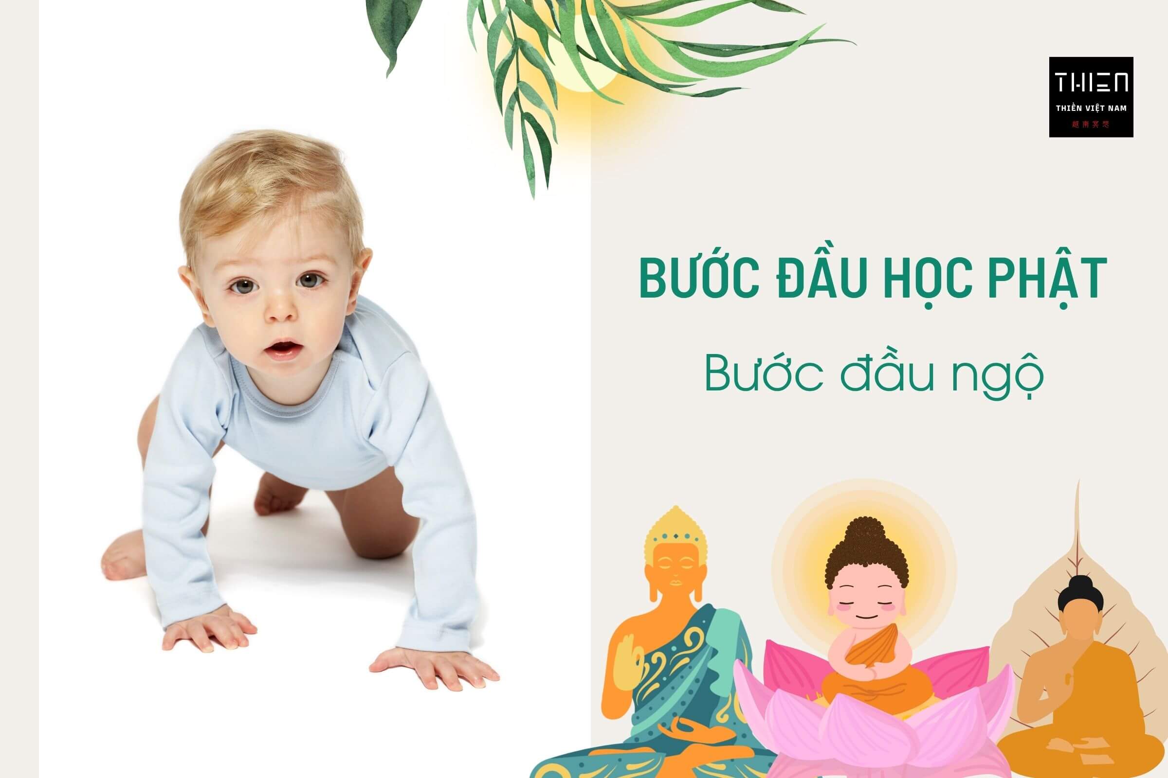 Nhìn lại về đường Tu (Phần 1) – Bước Đầu Tìm Hiểu, Bước Đầu Ngộ