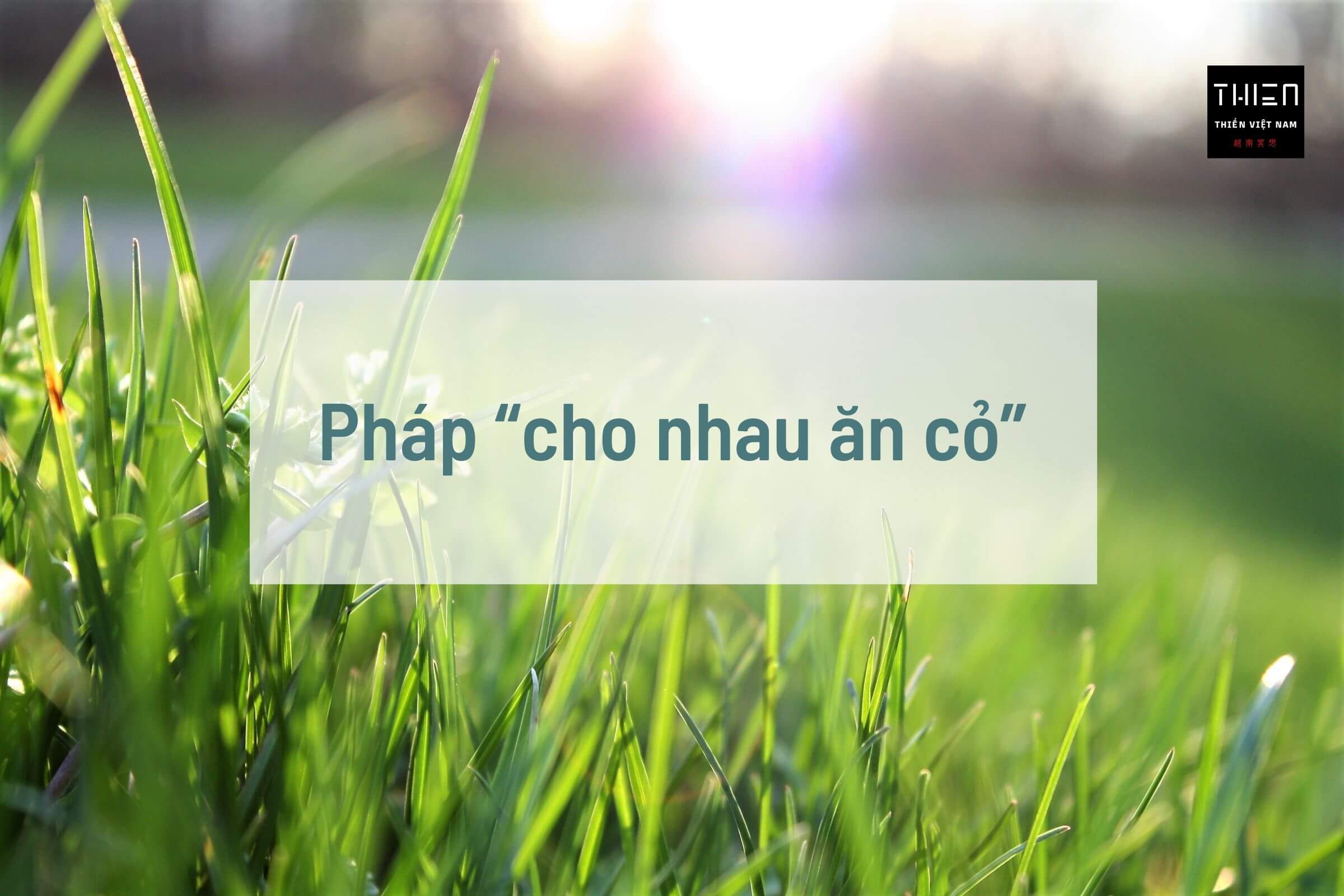 Pháp “cho nhau ăn cỏ”